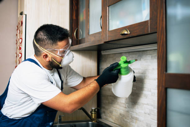 Best Pest Control Treatment  in Liberty City, TX