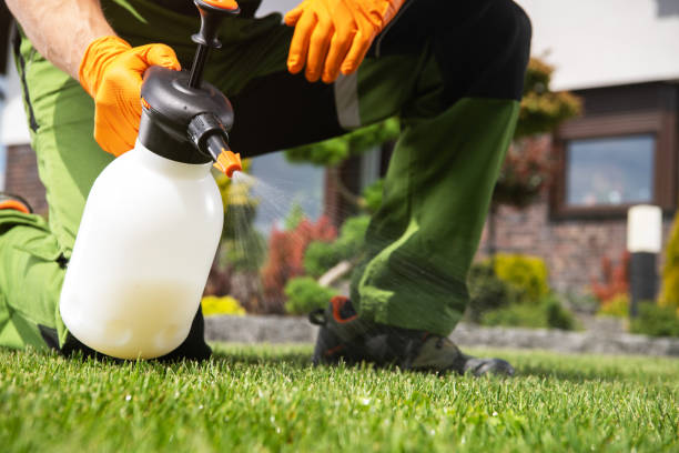 Best Affordable Pest Control Services  in Liberty City, TX