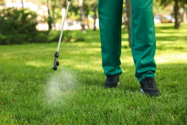 Best Best Pest Control Companies  in Liberty City, TX