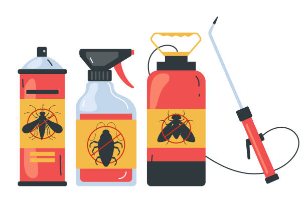 Best Insect Control  in Liberty City, TX
