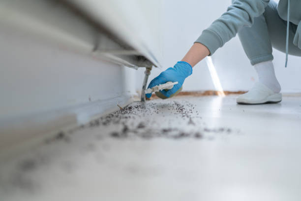 Best Pest Inspection Near Me  in Liberty City, TX
